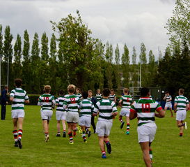 张弛有度取得胜利，球员状态一流助球队获胜，张弛赢了  第2张